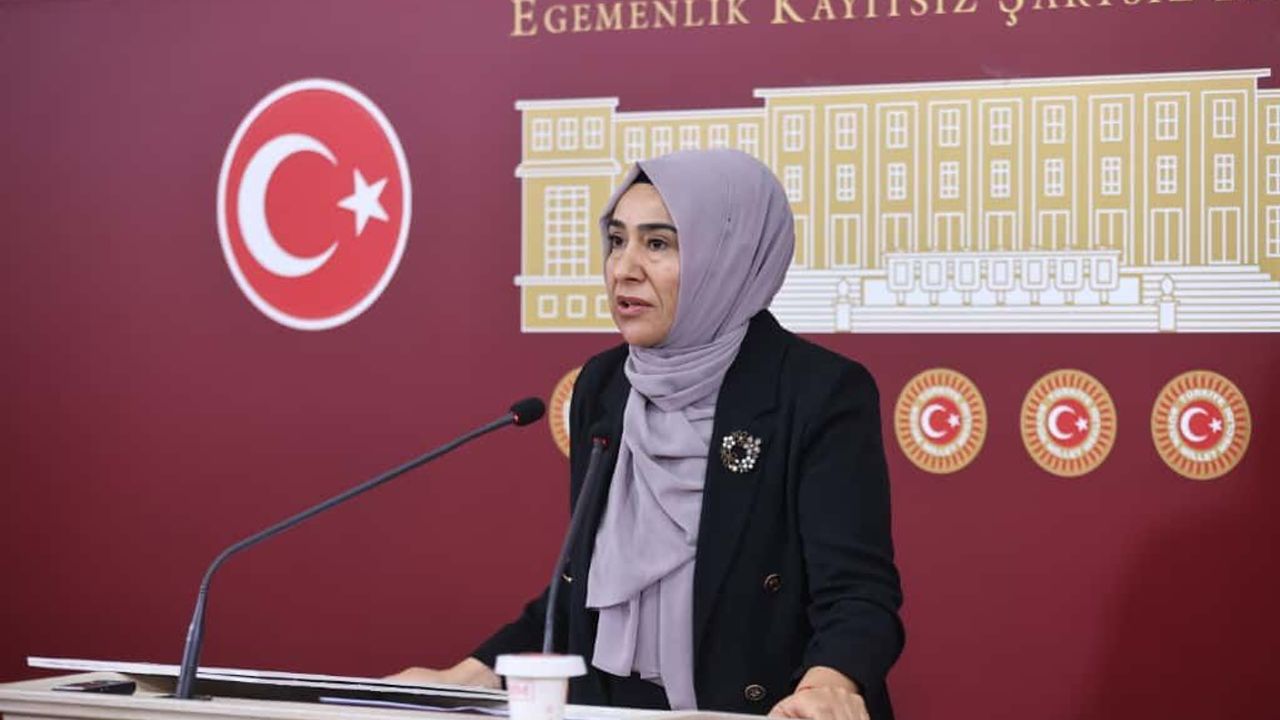 DEM Parti Milletvekili Gülderen Varlı, Rojin Kabaiş soruşturmasını Meclis gündemine taşıdı - Van Haber - Van Haberleri | Son Dakika Van Haberleri