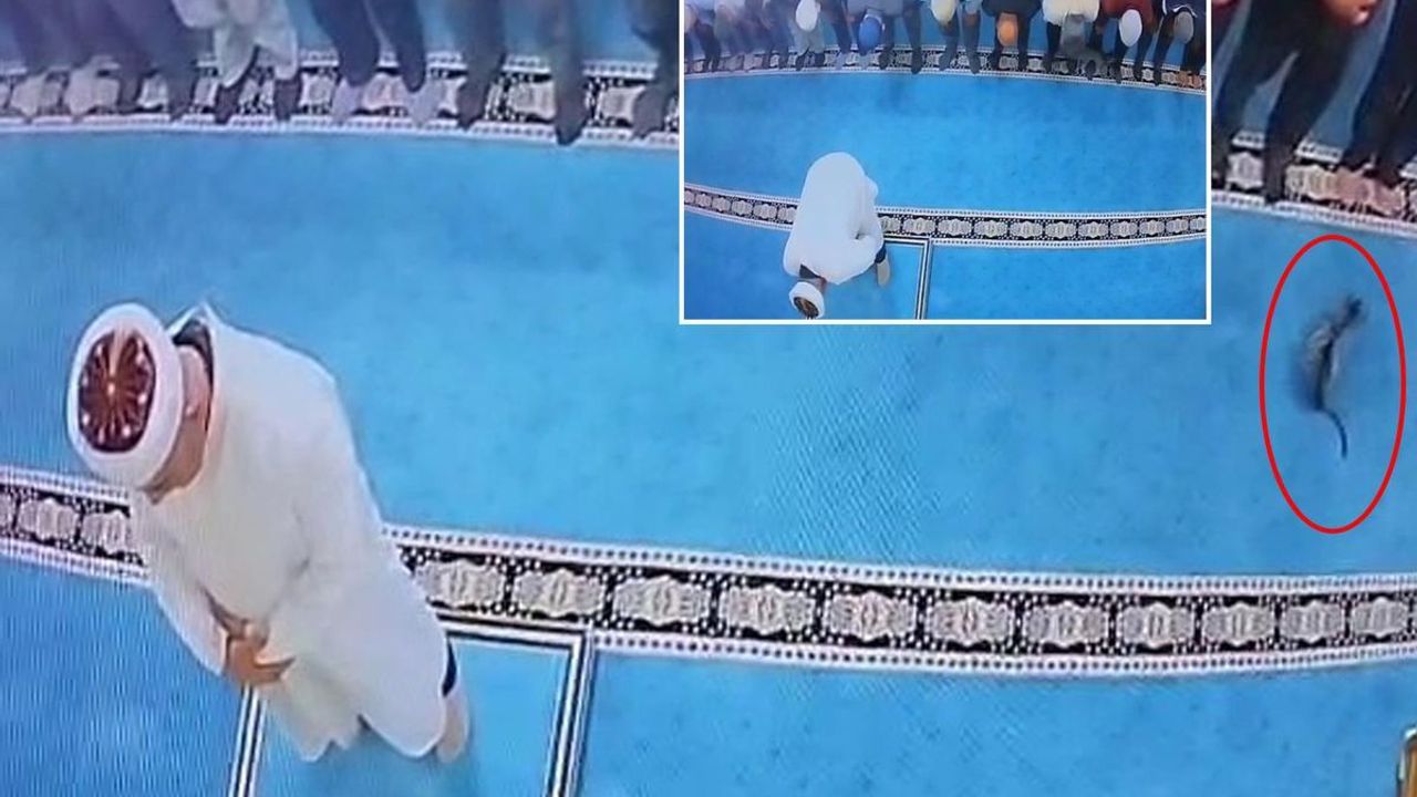 Namaz sırasında kediyi tekmeleyerek havaya savurmuştu! Gözaltına alındı