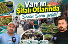 Van’ın şifalı otlarında sezon sonu geldi