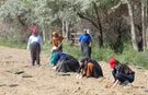 Gürpınar'da kadın komün bahçesi hayat buldu: Yüzlerce fide toprakla buluştu