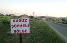 Edremit’te kuduz alarmı! Birçok mahalle karantinaya alındı
