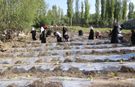 Edremit’te kadınların ürettiği Kent Bostanı Projesi başladı