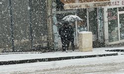 Van’ın Başkale ilçesinde kar yağışı etkisini artırdı