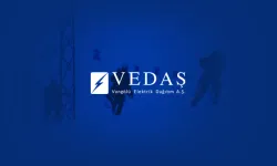 Vedaş kamyoneti şarampole yuvarlandı