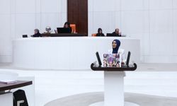 Van’daki boğulma vakaları meclis gündemine taşındı