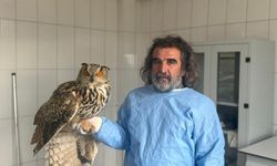 Van’daki doğa hastanesi umut oluyor: “Hem iyileştiriyor hem eğitiyor”