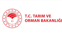 Orman Kanunu değişti: 3 milyon yurttaşın tapu sorunu çözülüyor