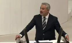 DEM Partili Uçar'dan Vanspor ve stat krizi için Bakan Bak'a 7 soruluk önerge