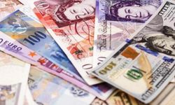 Euro 53,55 TL seviyesinde işlem görüyor