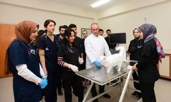Van kedileriyle ilgili yıllardır merak edilen soru yanıt buldu