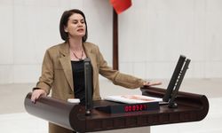 Van Milletvekili Gülcan Kaçmaz Sayyiğit, Yüksekova'daki kadın buluşmasında yer alacak