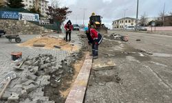 Edremit'te yol bakım ve onarım çalışmaları devam ediyor