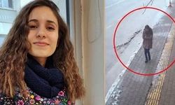 Başsavcılıklar açıkladı: Gülistan Doku soruşturmasında hangi delillere ulaşıldı?