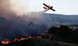 Orman yangınlarında alarm veren tablo