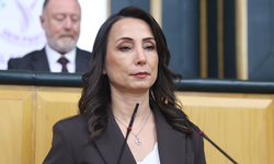 Hatimoğulları: "Silahlar yakıldı ancak bir yıl yeterince değerlendirilemedi"