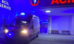 Van'daki trafik kazasında uzman çavuş hayatını kaybetti