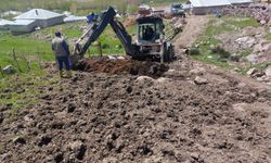 Erciş Millet Bahçesi'nde bakım ve yenileme çalışmaları sürüyor