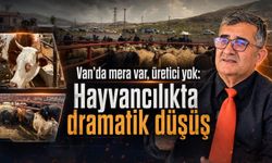 Van’da mera var, üretici yok: Hayvancılıkta dramatik düşüş