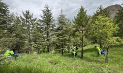 Van’ın beklediği Bölge Müdürlüğü Siirt’e verildi