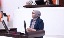 DEM Partili Varlı'dan Rojin Kabaiş ve Gülistan Doku için 5 bakanlığa soru önergesi