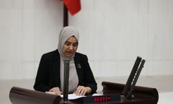Gülderen Varlı: Van’daki sorunların temel nedeni kayyım politikalarıdır