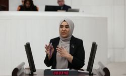 Gülderen Varlı'dan Van yolları için acil çözüm çağrısı