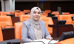 Van Milletvekili Gülderen Varlı: Emeklilere insanca yaşam değil, sefalet dayatılıyor