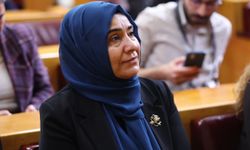 DEM Parti Van Milletvekili Gülderen Varlı'dan 27 Haziran mitingine katılım çağrısı