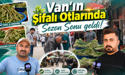 Van’ın şifalı otlarında sezon sonu geldi