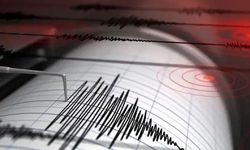 Van’da deprem paniğe neden oldu
