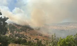 Diyarbakır'da ormanlık alanda yangın çıktı