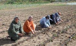 Kadın Kent Bostanı’nda ikinci sezon heyecanı