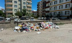 Erciş Belediyesi’nden çevre duyarlılığı çağrısı: “Temiz bir Erciş hepimizin sorumluluğu”