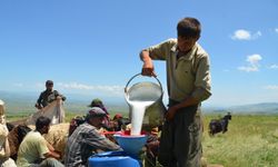 Göçerlerin yayla mesaisi başladı
