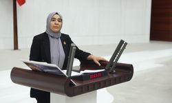 Gülderen Varlı: "Kayyım politikaları kenti susuz ve yoksul bıraktı"