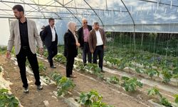 Milletvekili Varlı, Gürpınar’daki kadın bostanını ziyaret etti