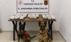 Şemdinli'de 21 kilo 650 gram toz esrar ele geçirildi