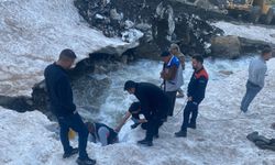 Hakkari’de hayvan kurtarma seferberliği