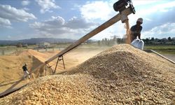 Hububat alım fiyatlarına TZOB’dan tepki: Çiftçinin beklentisi karşılanmadı