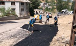 İpekyolu Belediyesi asfalt çalışmalarını sürdürüyor: Birçok mahallede yol seferberliği