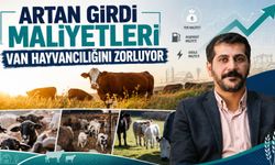 Van'da hayvancılık sektörü darboğazda