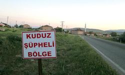 Edremit’te kuduz alarmı! Birçok mahalle karantinaya alındı
