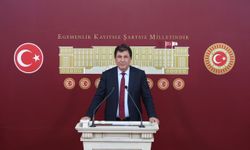 DEM Partili Dindar, Van'ın ulaşım sorunlarını TBMM gündemine taşıdı