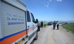 Muş’ta kaybolan çobanı arama çalışmaları sürüyor