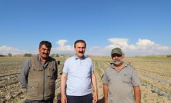 Nayif Süer’den Gevaş’ta tarım mesaisi: “Üreticinin en büyük sorunu pazar”
