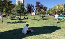 Şanlıurfa'da sıcaklık 43 dereceye ulaştı