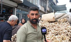 Sarımsak ucuzladı ama esnaf kazanamıyor