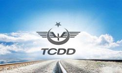 TCDD'nin ot ilaçlamasına çevrecilerden tepki: Zehirle otları değil, yaşamı öldürürsünüz