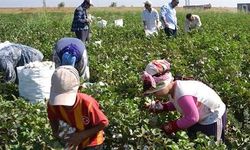 Van Milletvekili Sinan Çiftyürek: Mevsimlik tarım işçilerinin sorunlarını yerinde dinleyeceğiz