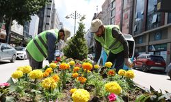 Van Büyükşehir Belediyesi Kazım Karabekir Caddesi'ni çiçeklerle renklendirdi